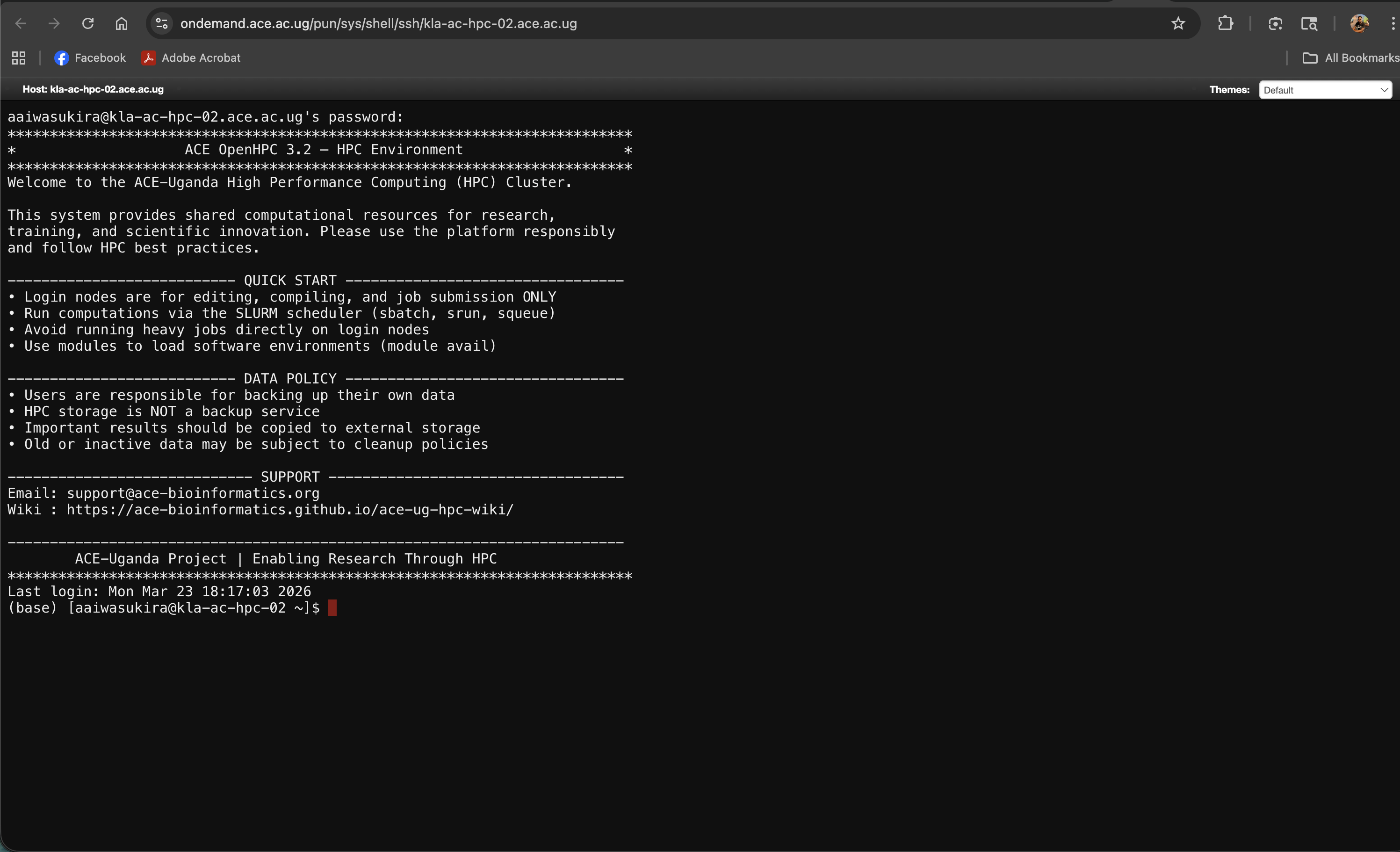 Browser Terminal Session