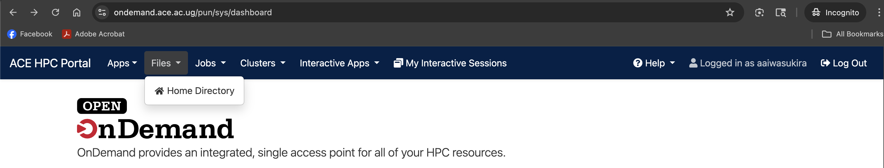Expanded Files Dropdown menu