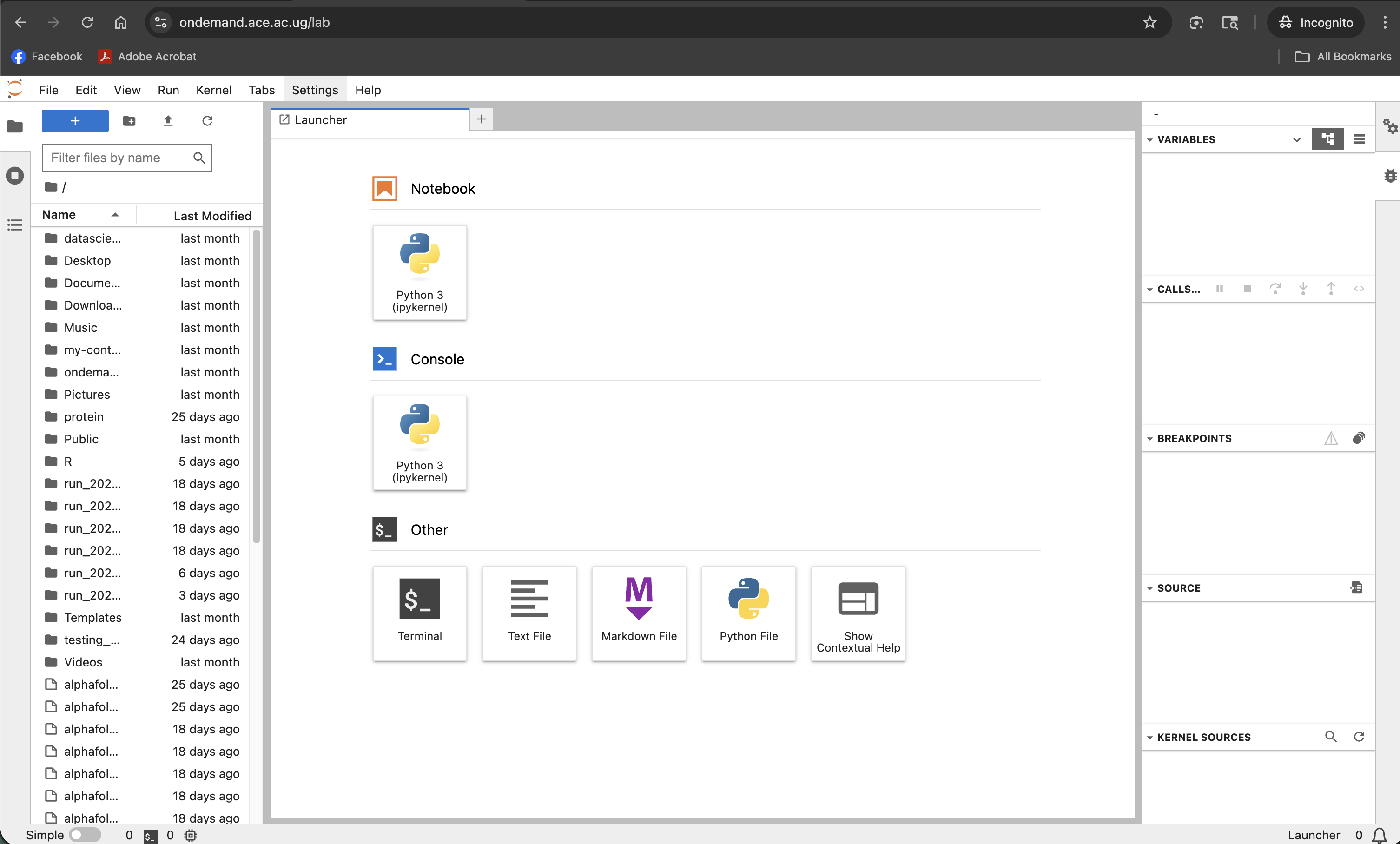 Jupyter Lab Interface
